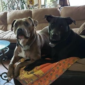 Meet your Posher, Cheryl